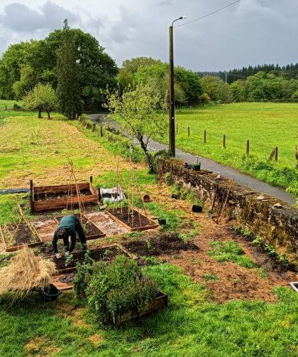 Horta no dig, no till