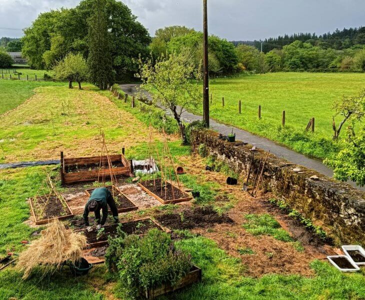 Horta no dig, no till