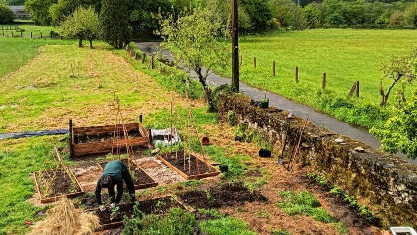 Horta no dig, no till
